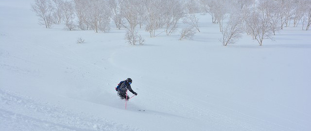 E33 - Cat skiing at Weiss, Hokkaido, Japan