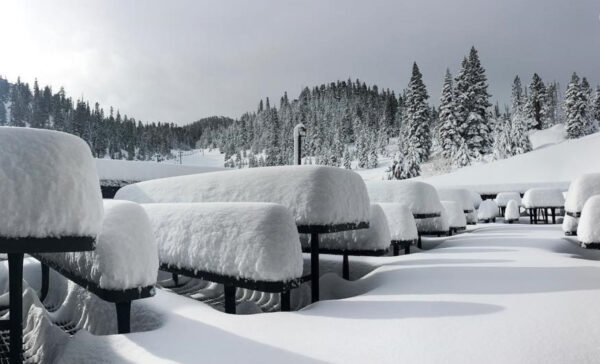 Heavenly Tables